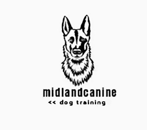 MIDLANDCANINE << DOG TRAINING logo