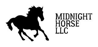 MIDNIGHT HORSE LLC logo