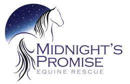 MIDNIGHT'S PROMISE EQUINE RESCUE logo