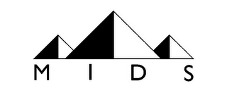 MIDS logo