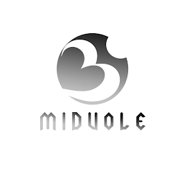 MIDUOLE logo