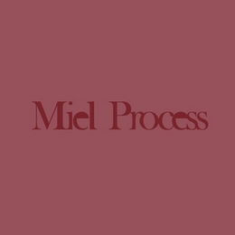 MIEL PROCESS logo