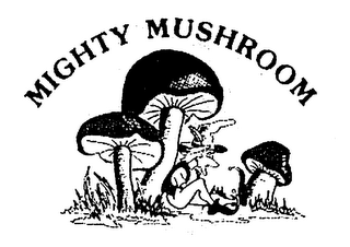 MIGHTY MUSHROOM logo