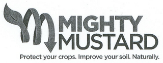 MIGHTY MUSTARD PROTECT YOUR CROPS. IMPROVE YOUR SOIL. NATURALLY. logo