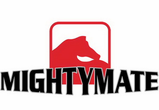 MIGHTYMATE logo