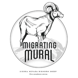 MIGRATING MURAL SIERRA NEVADA BIGHORN SHEEP OVIS CANADENSIS SIERRAE logo