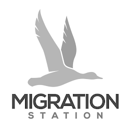 MIGRATION STATION logo
