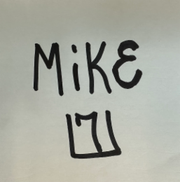 MIKE 171 logo