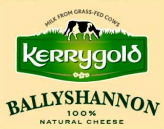 MILK FROM GRASS-FED COWS KERRYGOLD BALLYSHANNON 100% NATURAL CHEESE logo
