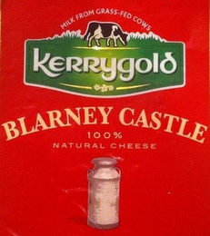 MILK FROM GRASS-FED COWS KERRYGOLD BLARNEY CASTLE 100% NATURAL CHEESE logo