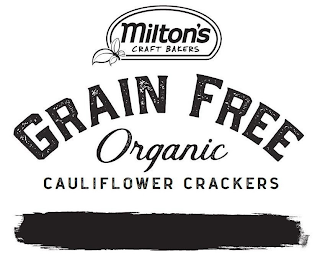 MILTON'S CRAFT BAKERS GRAIN FREE ORGANIC CAULIFLOWER CRACKERS