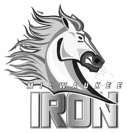 MILWAUKEE IRON logo