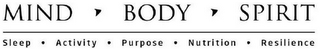 MIND BODY SPIRIT SLEEP · ACTIVITY · PURPOSE · NUTRITION ·  RESILIENCE logo