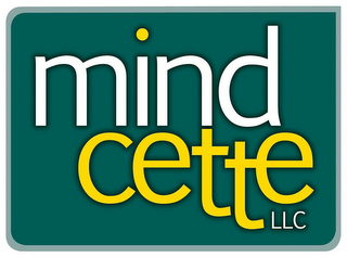 MIND CETTE LLC logo