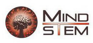 MIND STEM logo