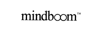 MINDBOOM (COLOR) logo