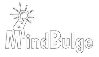 MINDBULGE logo