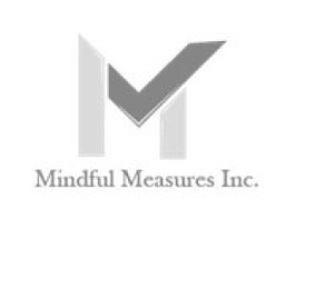 MINDFUL MEASURES INC. logo