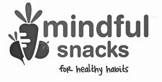 MINDFUL SNACKS FOR HEALTHY HABITS logo