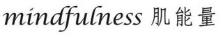 MINDFULNESS logo