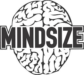 MINDSIZE logo
