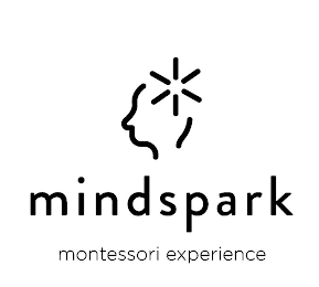 MINDSPARK MONTESSORI EXPERIENCE logo