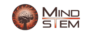 MINDSTEM logo