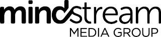 MINDSTREAM MEDIA GROUP logo