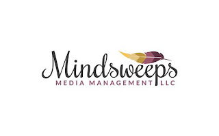 MINDSWEEPS MEDIA MANAGEMENT LLC logo