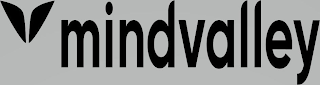 MINDVALLEY logo