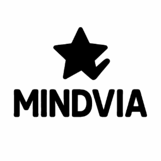 MINDVIA logo