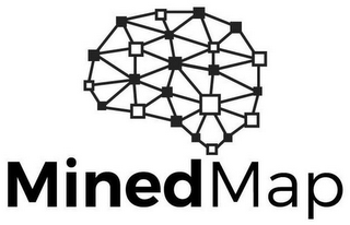 MINED MAP logo