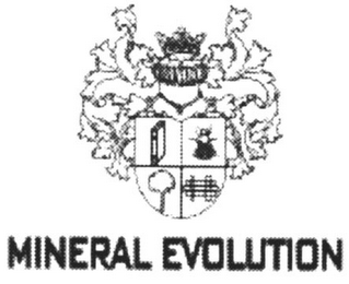 MINERAL EVOLUTION logo