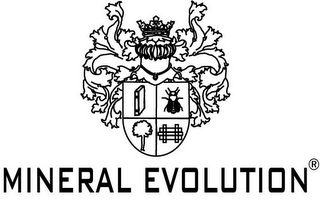 MINERAL EVOLUTION logo