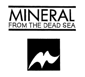 MINERAL FROM THE DEAD SEA logo