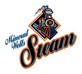 MINERAL WELLS STEAM logo