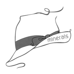MINERALS logo