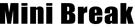 MINI BREAK logo