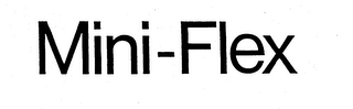 MINI-FLEX logo