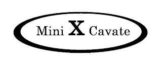 MINI X CAVATE logo