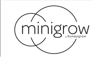 MINIGROW BY HONEYGROW