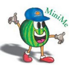 MINIME logo