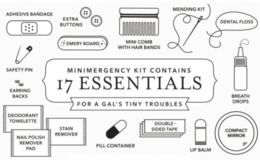 MINIMERGENCY KIT CONTAINS 17 ESSENTIALS FOR A GAL'S TINYTROUBLES ADHESIVE BANDAGE EXTRA BUTTONS EMERY BOARD MINI COMB WITH HAIR BANDS MENDING KIT DENTAL FLOSS BREATH DROPS COMPACT MIRROR LIP BALM DOUBLE-SIDED TAPE PILL CONTAINER DEODORANT TOWELETTE NAIL POLISH REMOVER PAD STAIN REMOVER EARRING BACKS SAFETY PIN logo