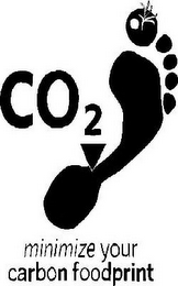MINIMIZE YOUR CARBON FOODPRINT CO2 logo