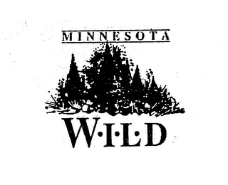 MINNESOTA WILD logo