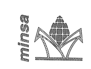 MINSA logo