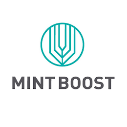 MINT BOOST logo