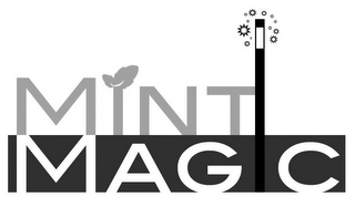MINT MAGIC logo