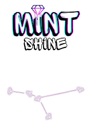 MINT SHINE logo