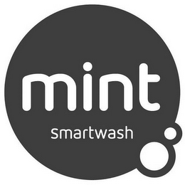 MINT SMARTWASH logo